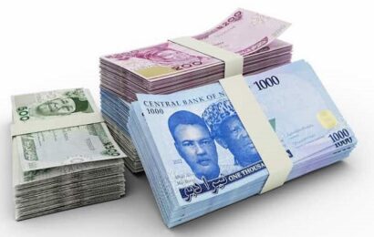 Naira Exchanges For N462 To  Dollar At Investors, Exporters Window