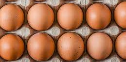 Poultry Association Laments Rising Cost Of Eggs