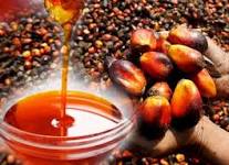Adulteration: Palm Oil Farmers Seek Collaboration With FG