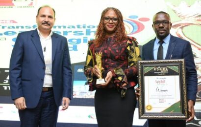 Seplat Energy, CEO Shine At 2023 Excel Africa Awards