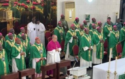Catholic Bishops Task Governments On Proliferation Of Arms