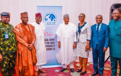Minister To GOCOP: Promote Positive Reports On Nigeria