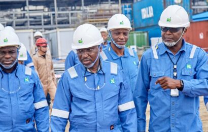 NLNG Advocates For Urgent Action To Secure Gains From Gas