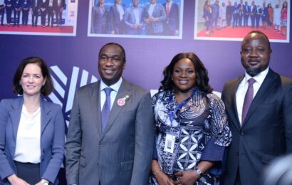 At CFA Investment Summit, Experts Project Africa As Next Best FDIs Frontier