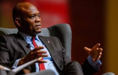 UNGA 2024: Tony Elumelu Sets Out Africa’s Priorities