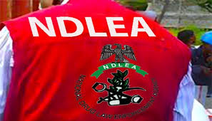 NDLEA Bursts Drug Syndicate At Lagos Airport