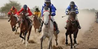 Seven Countries, 250 Horses For Gwandu Racing Competition, Durbar