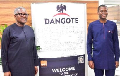 Caribbean Countries Seek Dangote’s Partnership In Cement, Fertiliser Production