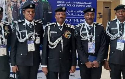 IGP At World Police Summit In Dubai, Seeks Collaboration