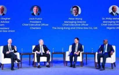 NLNG MD: Gas Must Replace Dirtier Fuels To Drive Energy Transition In Africa