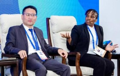 NLNG Seeks Supportive Policies To Drive Decarbonisation In LNG Shipping