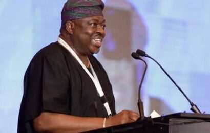 NLNG Implores Africa On Closing Energy Access Gap