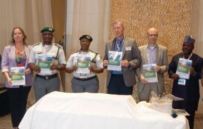 NCS Harps On Renewable Energy Import Process, Unveils Handbook