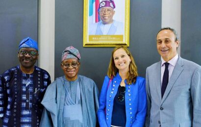 Oyetola Seeks France’s Support For Nigeria’s IMO Council Bid