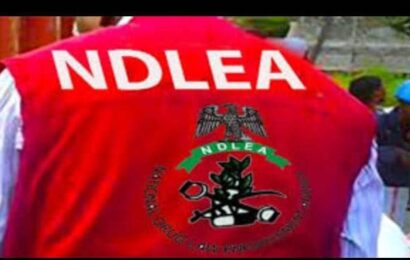 NDLEA Intercepts Illicit Drugs Packaged As Green Tea
