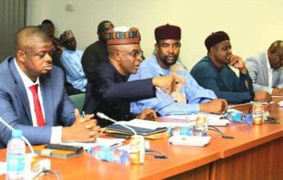 NPA Targets N1.2tri Revenue In 2025